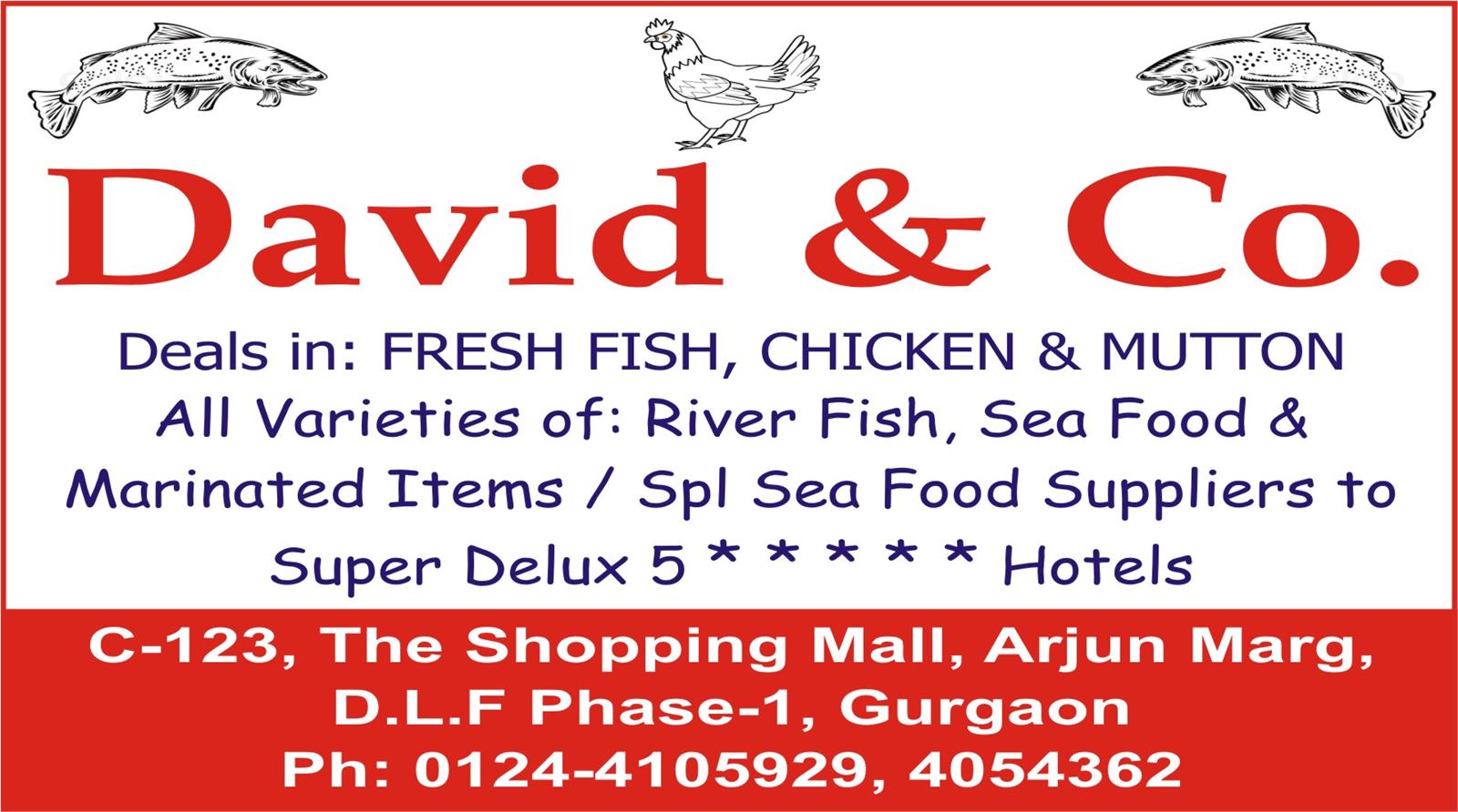 DAVID & CO.